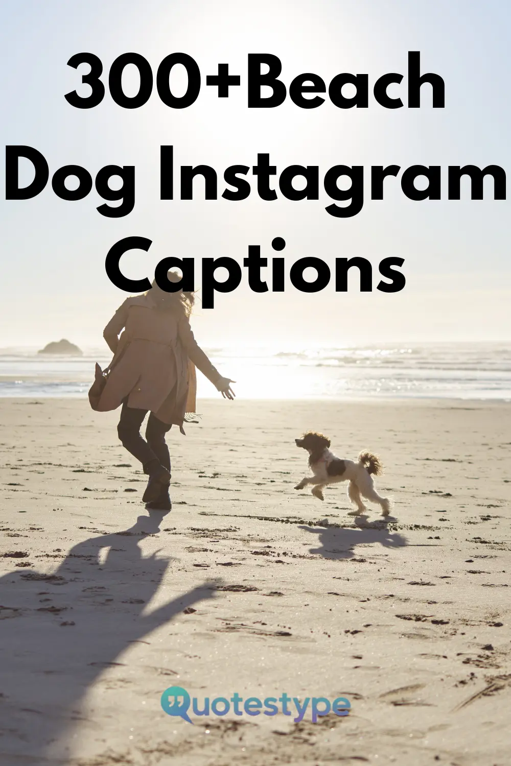 beach-dog-instagram-captions