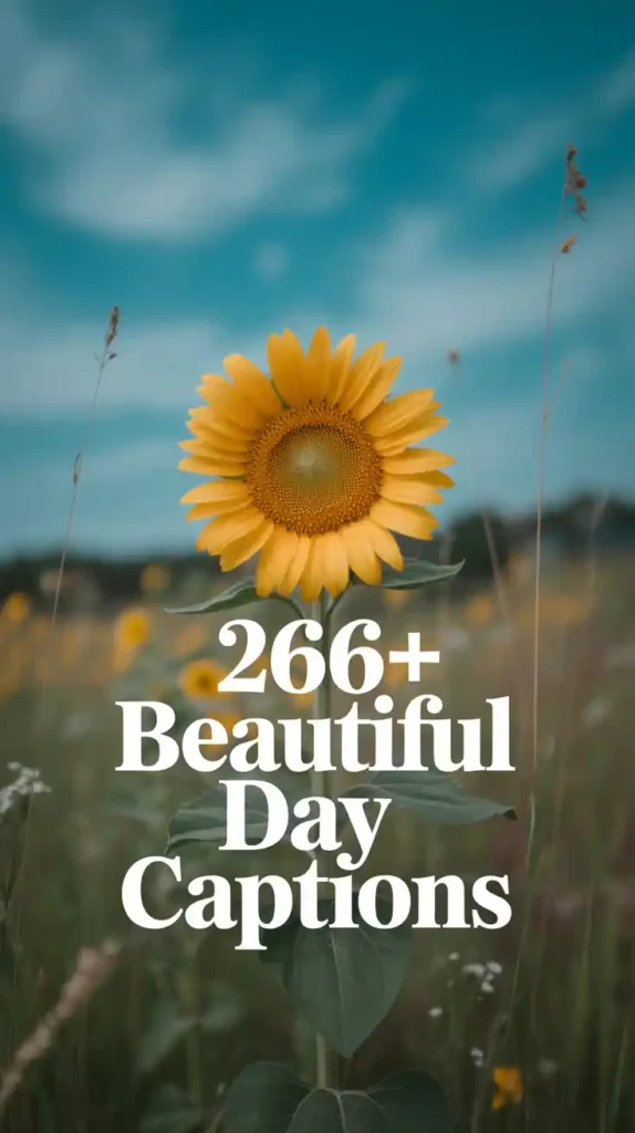 Beautiful Day Captions