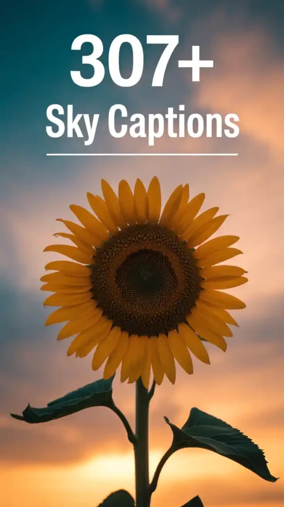 Sky Captions for Instagram Short