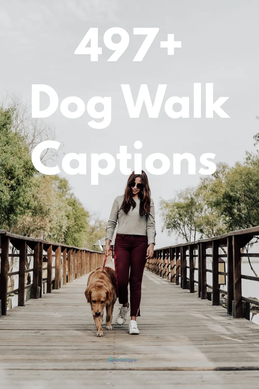 dog-walk-captions-for-instagram